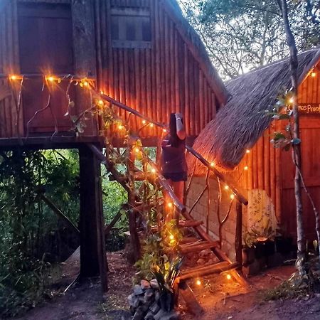 Sanctuaria Treehouses Busuanga Ngoại thất bức ảnh