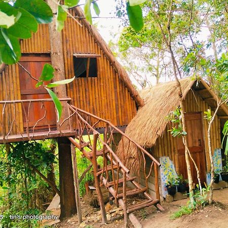 Sanctuaria Treehouses Busuanga Ngoại thất bức ảnh