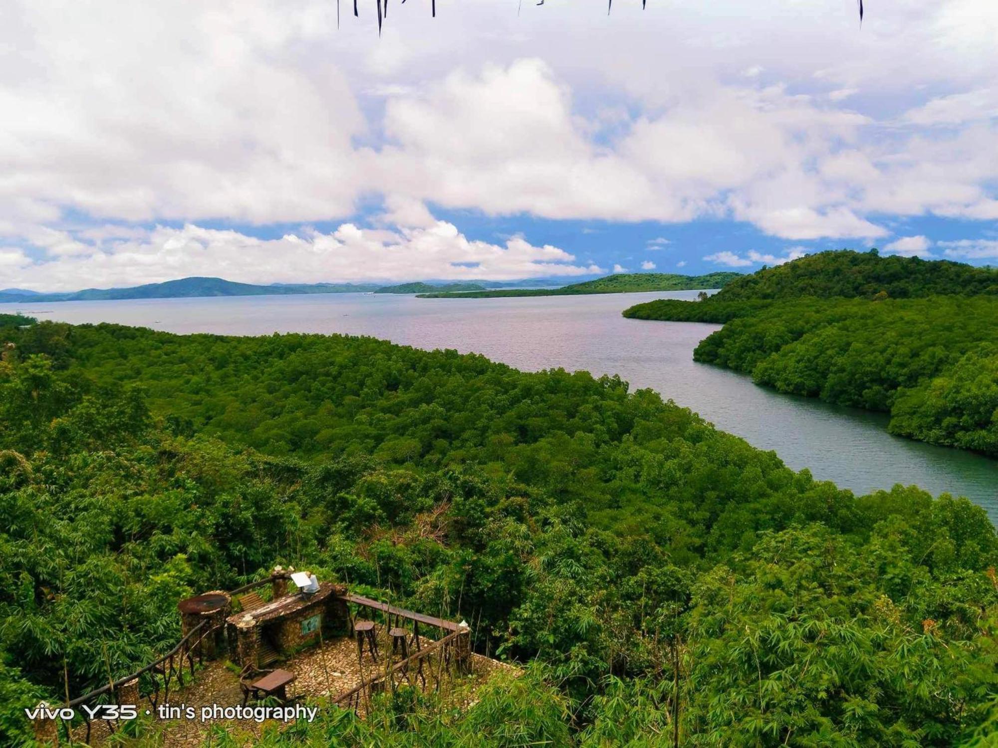 Sanctuaria Treehouses Busuanga Ngoại thất bức ảnh