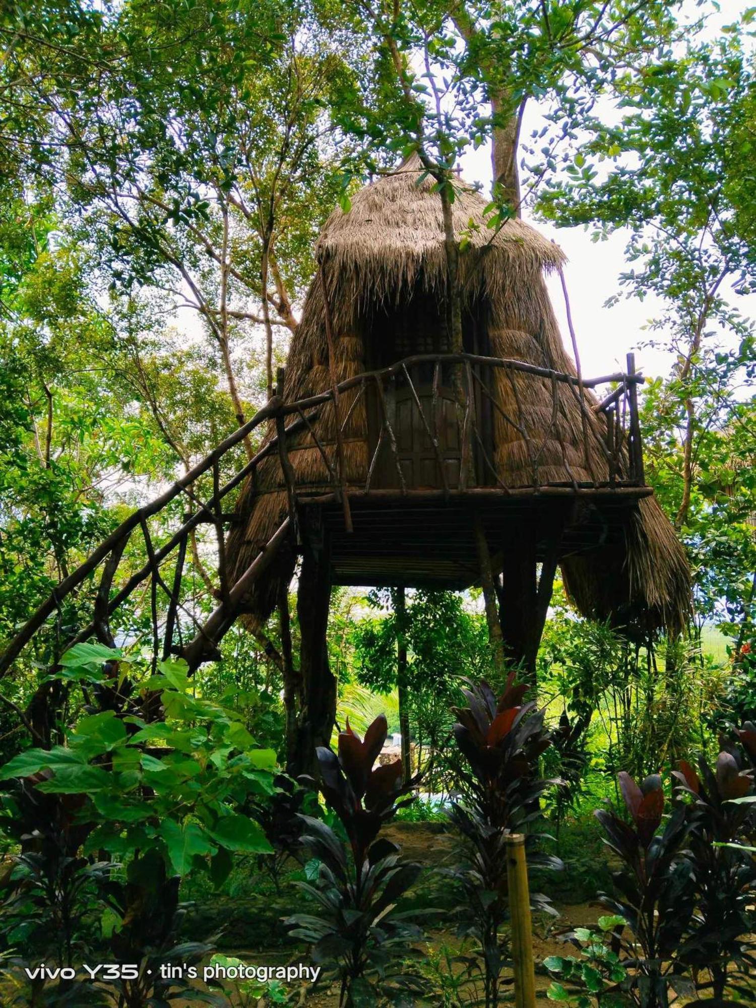 Sanctuaria Treehouses Busuanga Ngoại thất bức ảnh