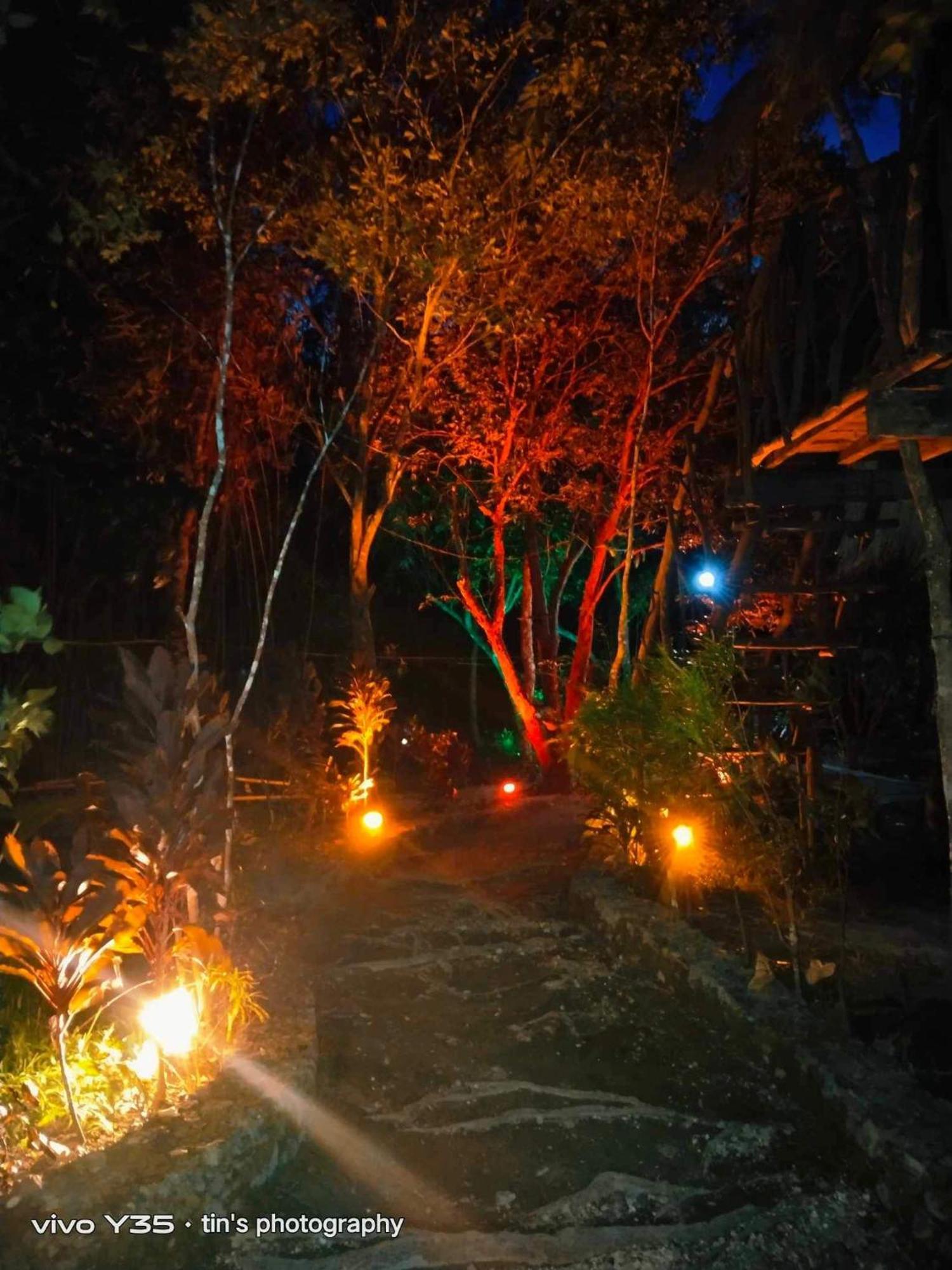 Sanctuaria Treehouses Busuanga Ngoại thất bức ảnh
