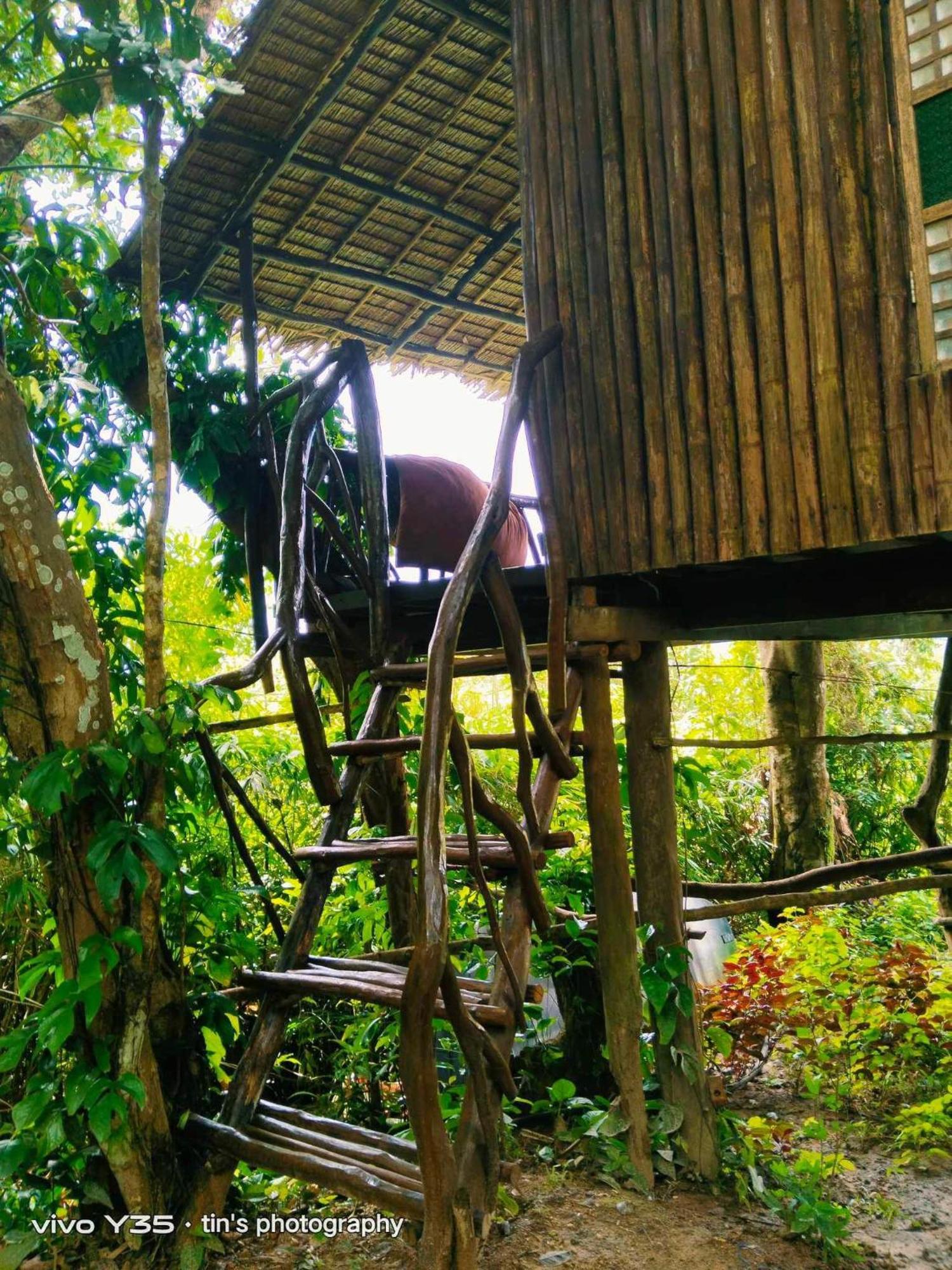 Sanctuaria Treehouses Busuanga Ngoại thất bức ảnh