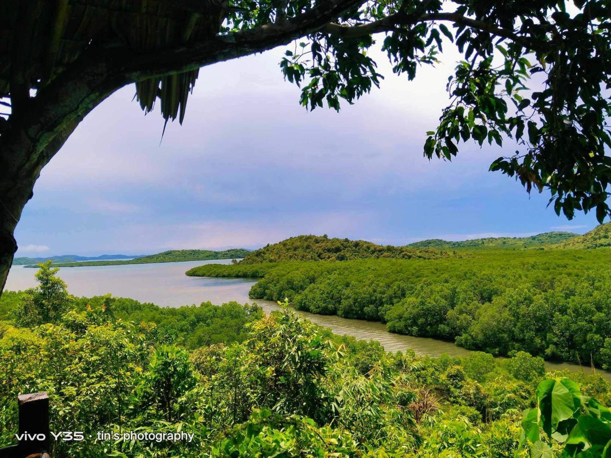 Sanctuaria Treehouses Busuanga Ngoại thất bức ảnh