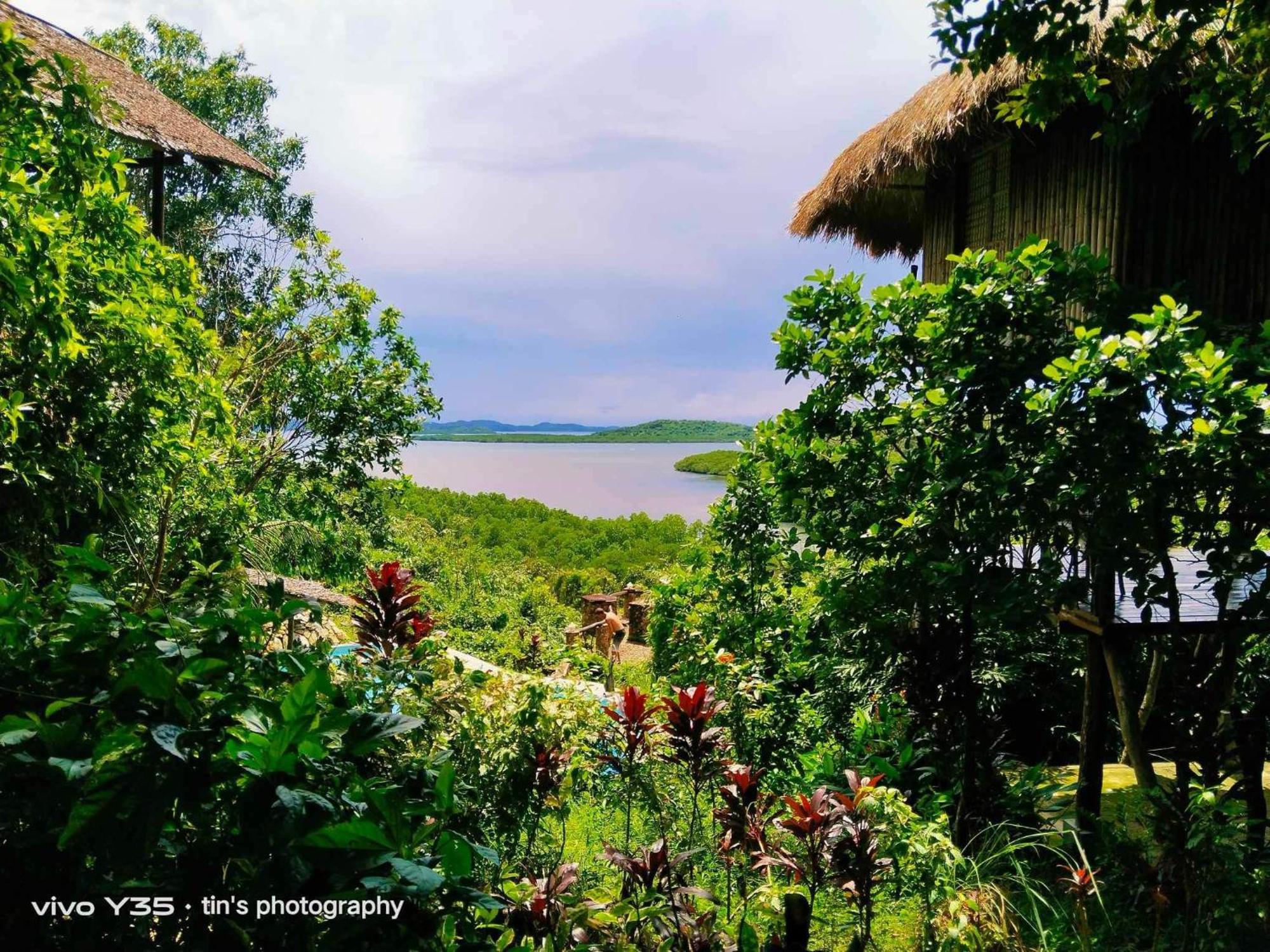 Sanctuaria Treehouses Busuanga Ngoại thất bức ảnh