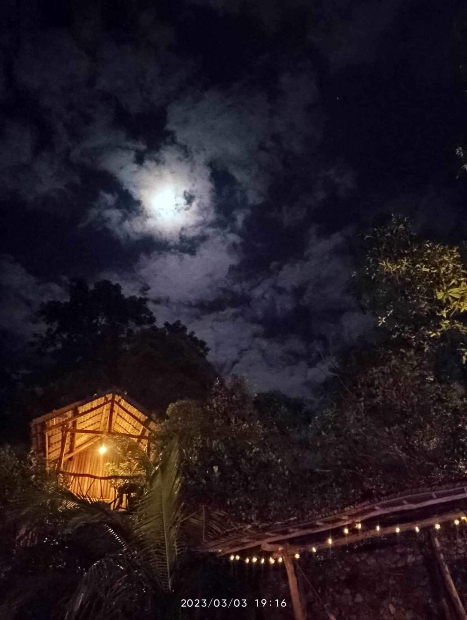 Sanctuaria Treehouses Busuanga Ngoại thất bức ảnh