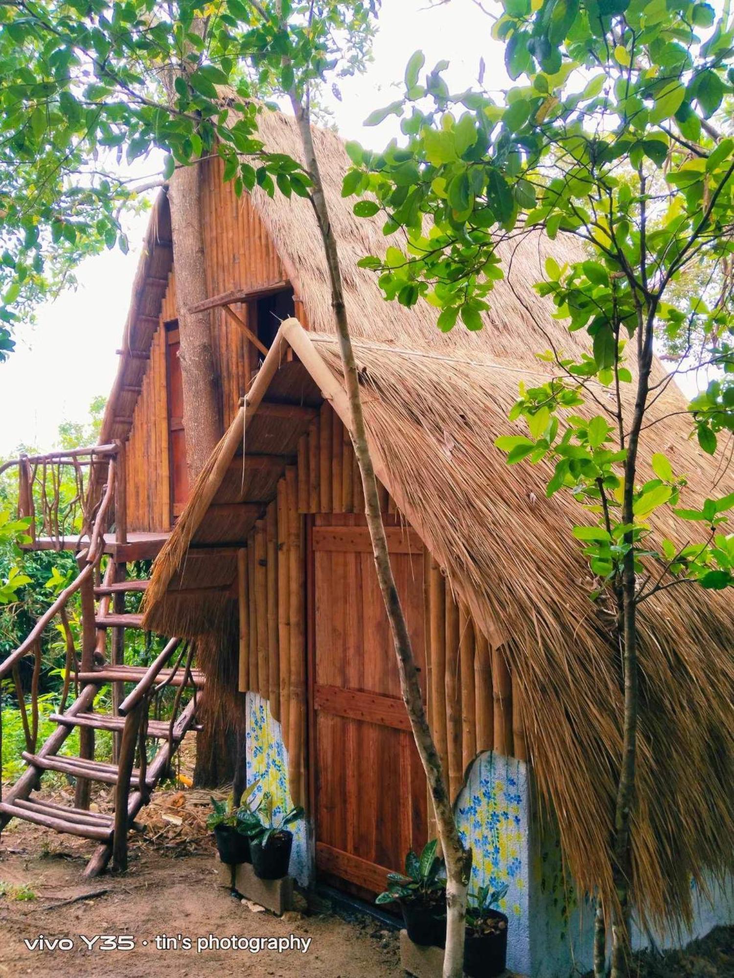 Sanctuaria Treehouses Busuanga Ngoại thất bức ảnh
